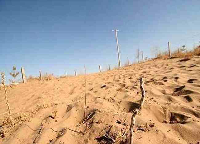 塔克拉玛干沙漠之行,图十一