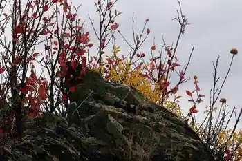 带你进入多彩的喀纳斯,图十四