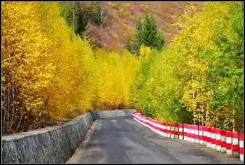 神的自留地--冷暖色的禾木,图二十七