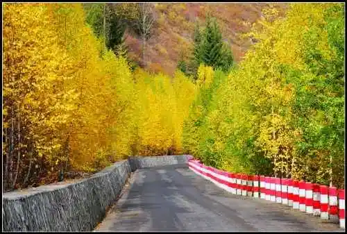 神的自留地--冷暖色的禾木