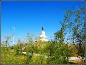 塔克乐根祭祀神灵地——精河敖包,图六