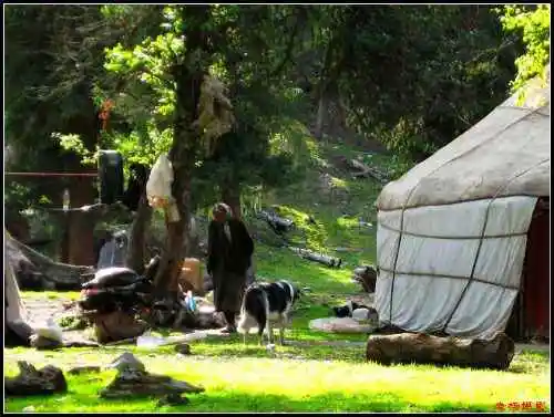 避暑胜地的牧民部落厍尔德宁