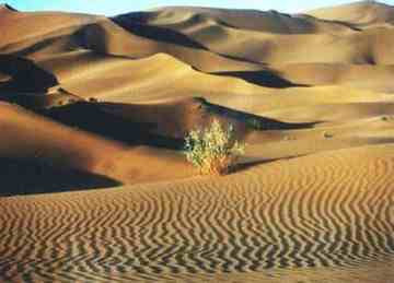 穿越塔克拉玛干 “死亡之海”中感受生命,图十三