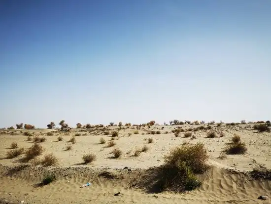 南疆大环游 和田到阿拉尔