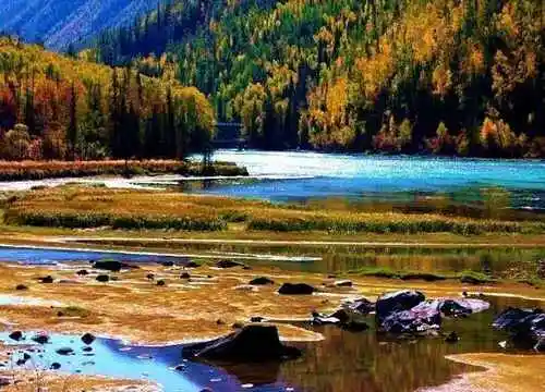 喀纳斯最靓丽的风景线