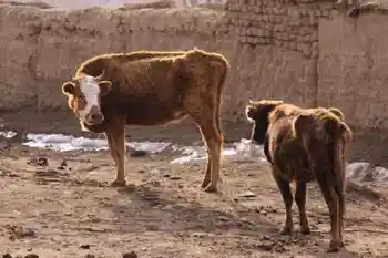 新疆自驾之旅四,图