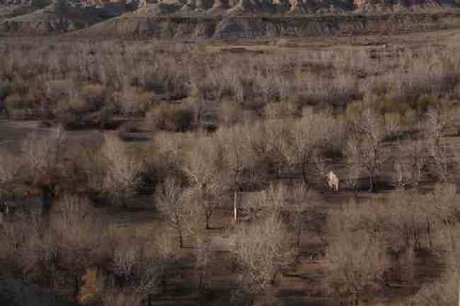 新疆自驾之旅1,图二十