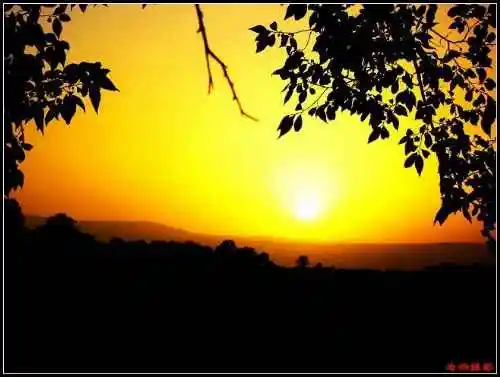 广袤辽阔富饶的新疆——新疆印象