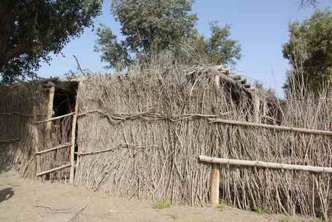 新疆南疆六日游续（二）,图六