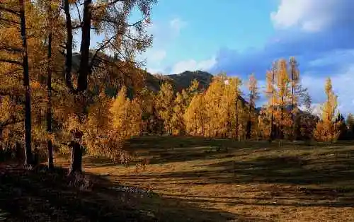 北疆之行--人间的天堂