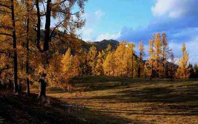 北疆之行--人间的天堂,图三