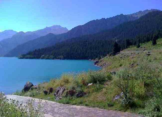 喀納斯為天山以北最美的地方,圖五