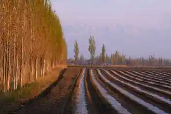 新疆自驾之旅,图一