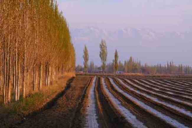 新疆自駕之旅,圖一