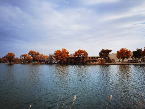 游罗布人村寨第四天
