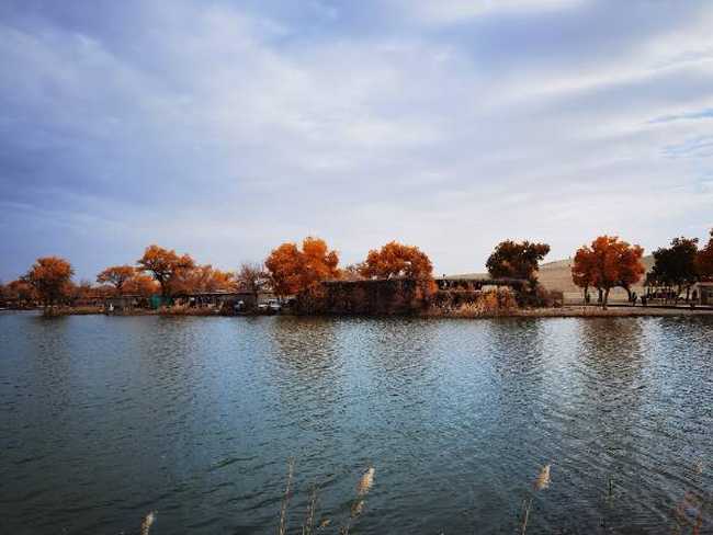 游羅布人村寨第四天