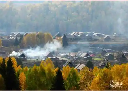 新疆旅游去沙漠看胡杨