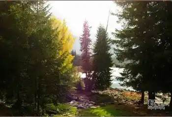 新疆旅游去沙漠看胡杨,图十八