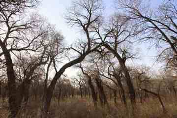新疆自驾之旅1,图十二