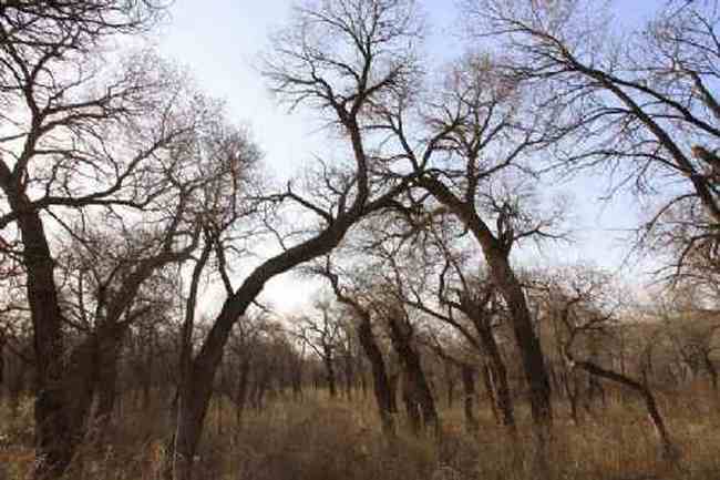 新疆自驾之旅1,图十二