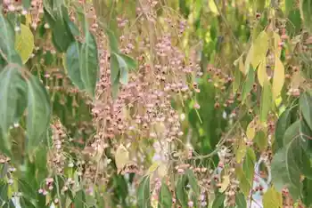 新疆南疆六日游续(五）,图一