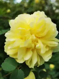 感天地始交 看万物并秀 美丽乌鲁木齐市一瞥