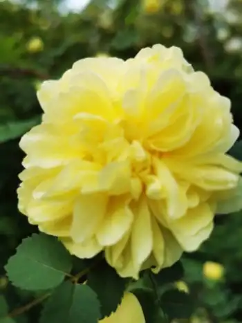 感天地始交 看万物并秀 美丽乌鲁木齐市一瞥