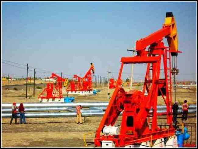 广袤辽阔富饶的新疆——新疆印象,图六