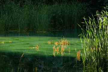 我们站在火焰山前,图六