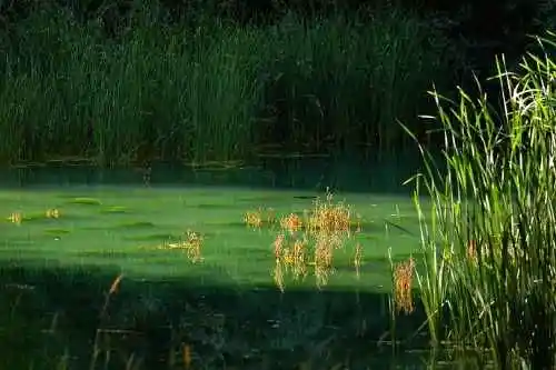 我们站在火焰山前