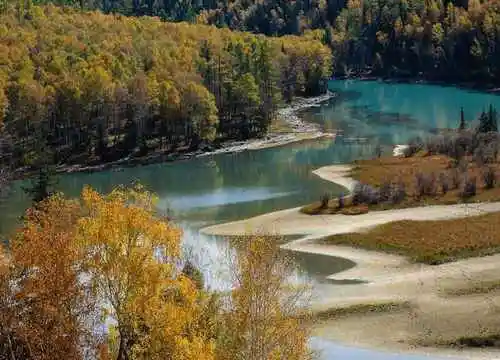 最想回忆的喀纳斯－红叶飘飞的日子