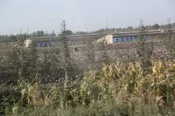 新疆旅游之南疆六日游（一）,图十一