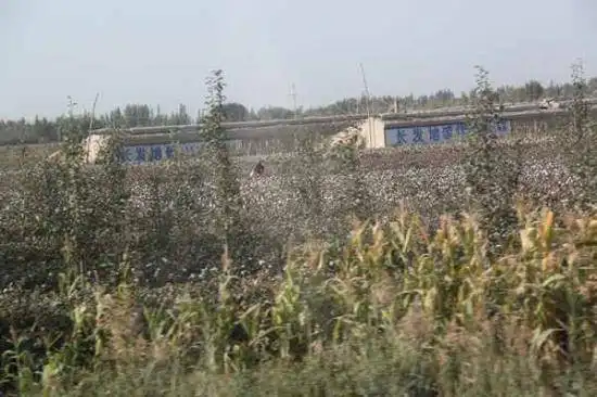 新疆旅游之南疆六日游（一）