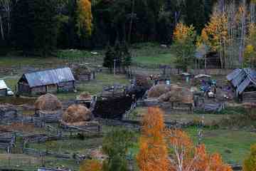 白哈巴西边的太阳落山岗,图十九