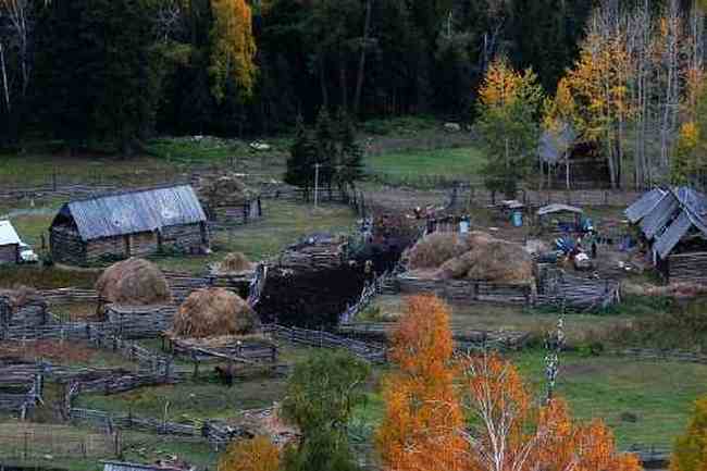 白哈巴西边的太阳落山岗,图十九
