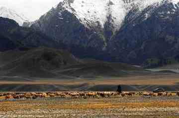 北疆赛里木湖,图九