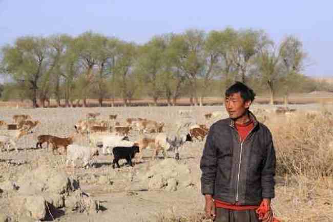 新疆自驾之旅1,图二十一