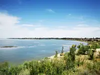 父亲节带爸爸游玛纳斯湿地公园