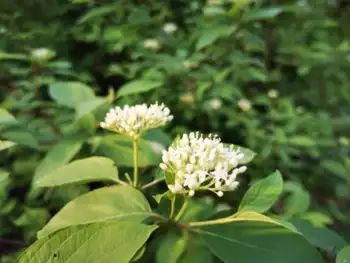 感天地始交 看万物并秀 美丽乌鲁木齐市一瞥