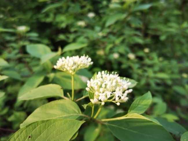 感天地始交 看万物并秀 美丽乌鲁木齐市一瞥