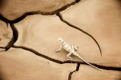 消失的中国最低地－艾丁湖