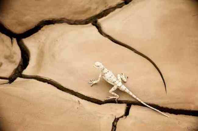 消失的中国最低地-艾丁湖,图七