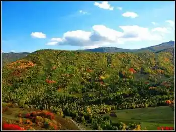 陶醉喀纳斯流连忘返——拾掇美丽,图四