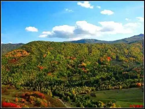 陶醉喀纳斯流连忘返——拾掇美丽