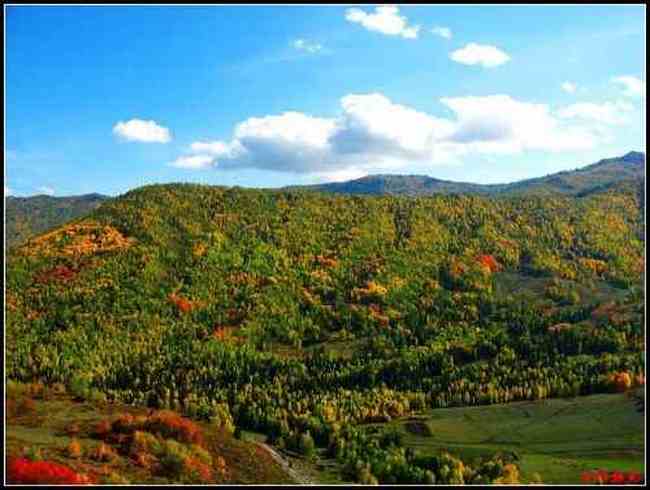 陶醉喀纳斯流连忘返——拾掇美丽,图四