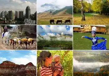 新疆旅游去沙漠看胡杨,图一