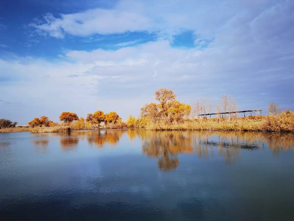 游罗布人村寨第四天