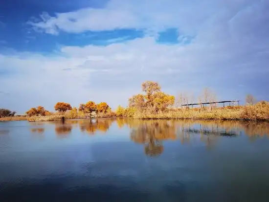 游罗布人村寨第四天