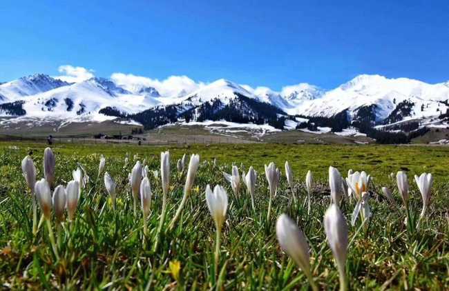 雨中自驾游伊犁河