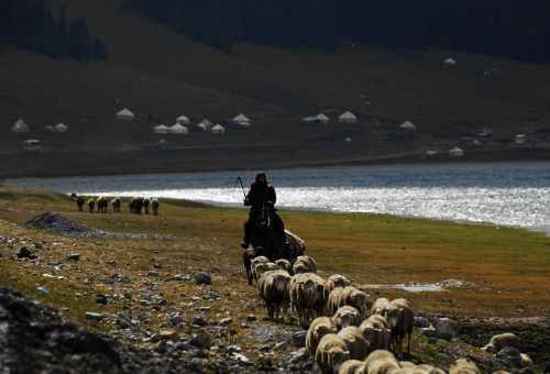 北疆赛里木湖,图十三